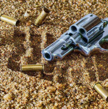 firearm 409252 19201 4